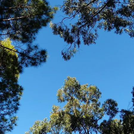 Strandliebe 200m Zum Ferienhaus Goehren (Ruegen)